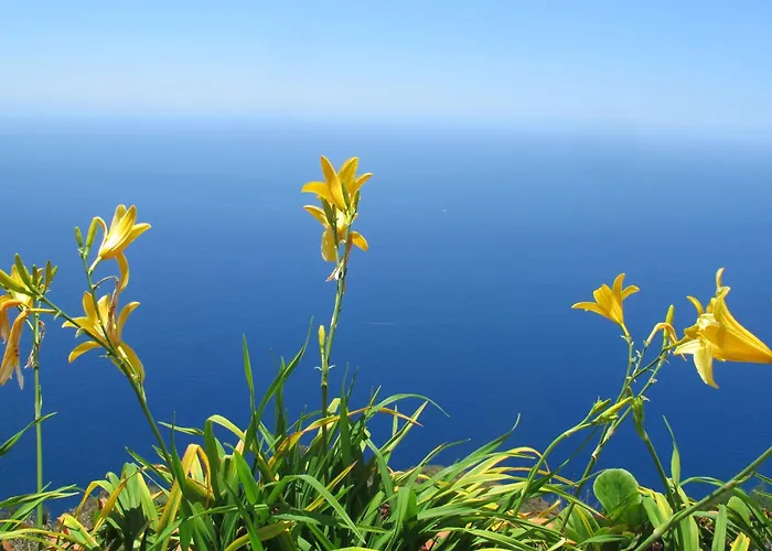 Atlantic View فيلة