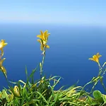 Atlantic View וילה